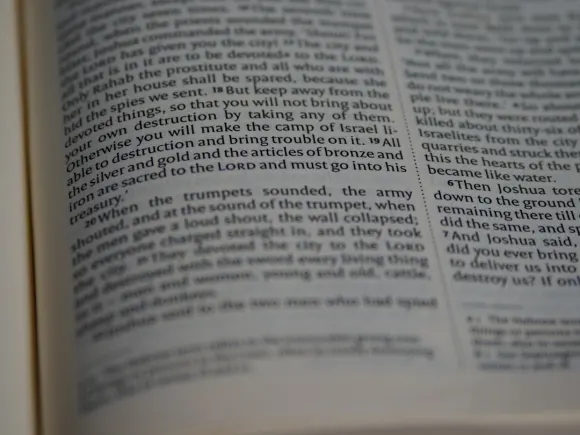 Casino Grand Eagle Supporto